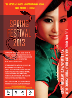 Chinese New Year Snake Flyer