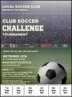 Soccer Stadium Logo Flyer