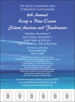 Nature Series - Blue Ocean Flyer