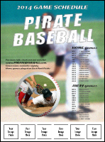 Baseball Schedule Logo Flyer