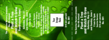 Leaf General Admission Ticket