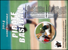 Baseball Schedule Invitation