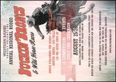 Bucking Bronco Rodeo Postcard