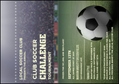 Soccer Stadium Postcard