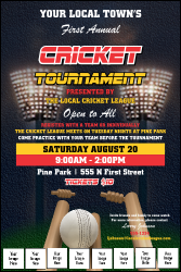 Cricket 2 Logo Poster