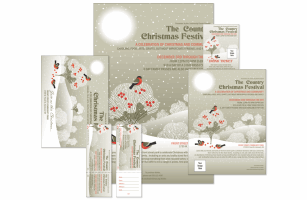 Winter Bird Event Kit